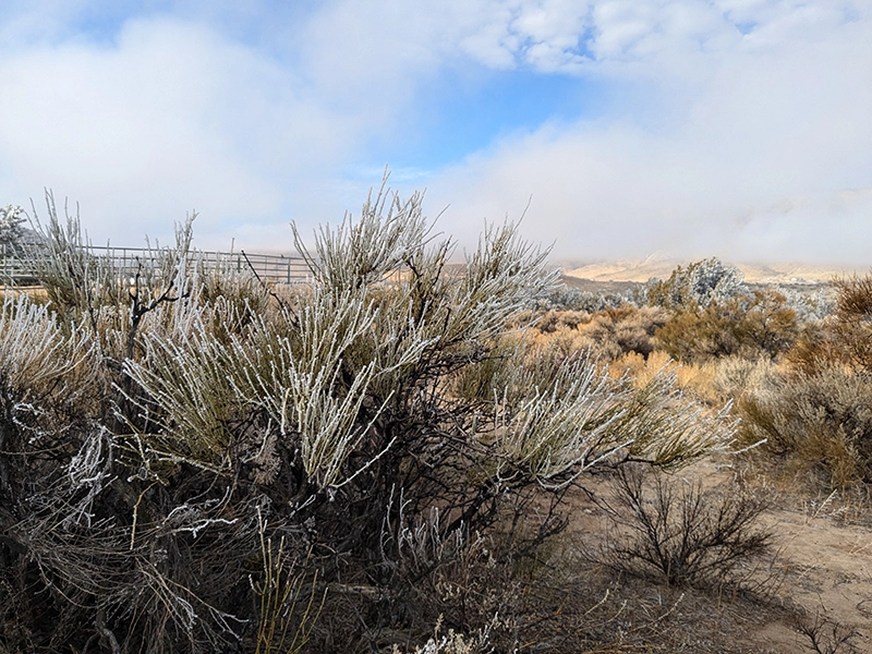 Northern Nevada landscape photo